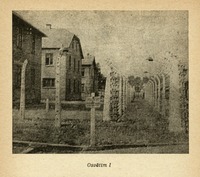 Image 347.tif