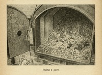 Image 338.tif