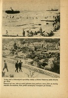 Image 123.tif