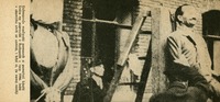 Image 193.tif