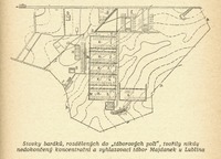 Image 333.tif