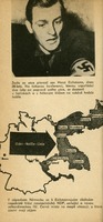 Image 195.tif