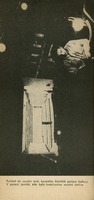 Image 203.tif