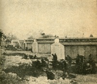Image 17.tif