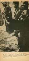 Image 191.tif