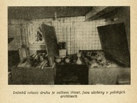 Image 363.tif