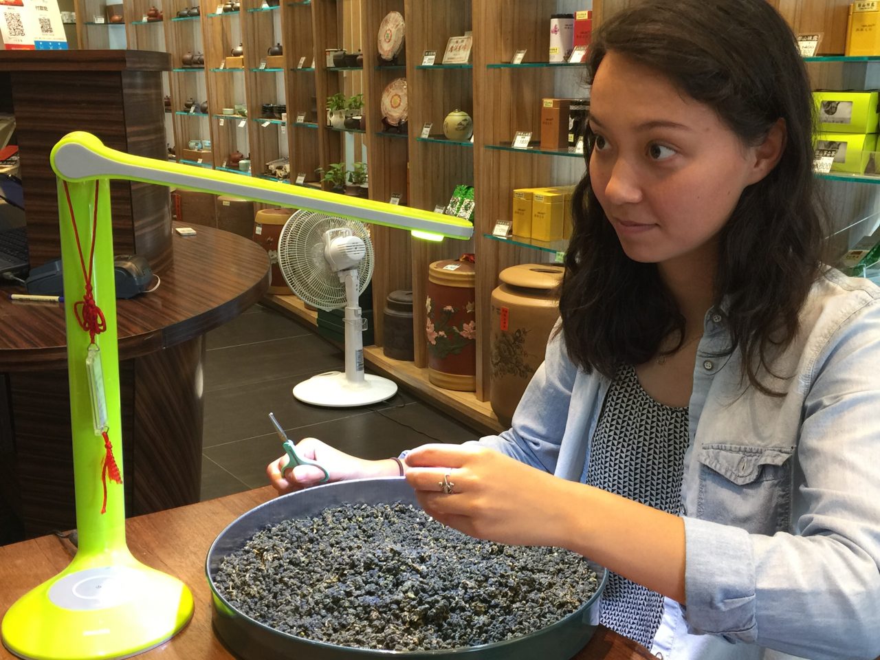 2018 Davidson in East Asia Internship