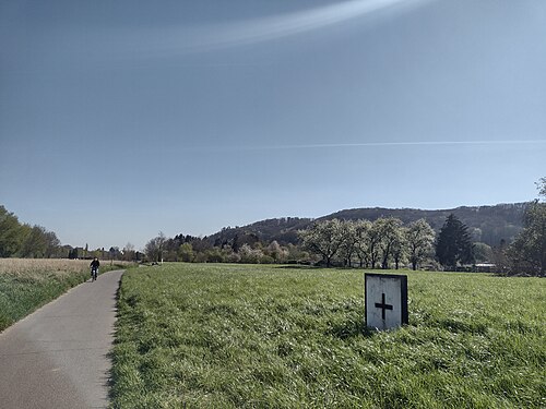 A bicycle path passing through meadows in Bonn-Mehlem, Germany.