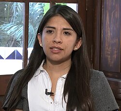 Mexican journalist Tania Montalvo of Verificado 2018