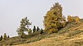 * Nomination Scuol-Motta Naluns, View from Motta Naluns on the environment. --Agnes Monkelbaan 04:21, 3 April 2025 (UTC) * Promotion  Support Good quality. --Johann Jaritz 04:52, 3 April 2025 (UTC)