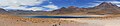 * Nomination , Miscanti lake, Chile- Lac Miscanti, Chili --Ercé 09:57, 1 April 2025 (UTC) * Promotion Good quality. --Pudelek 13:50, 1 April 2025 (UTC)