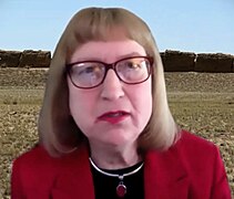 Historian Nancy S. Steinhardt