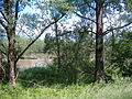 Thumbnail for version as of 04:37, 8 August 2013