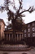 The Gernikako Arbola oak, symbol of Biscayne freedoms.