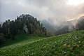 * Nomination Southern slopes of Acheshbok massif, Shisha river valley in fog, Western Caucasus, Adygea, Russia. By User:Argenberg --Екатерина Борисова 01:44, 2 April 2025 (UTC) * Promotion  Support Good quality. --Lrkrol 13:45, 2 April 2025 (UTC)