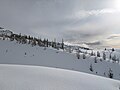 * Nomination: Trees on a southeast ridge of Mount St Helens --Buidhe 04:04, 2 April 2025 (UTC) * * Review needed