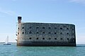 * Nomination: View of the east facade of Fort Boyard --JPD115 20:03, 30 March 2025 (UTC) * Review rotated clockwise --Mike1979 Russia 07:12, 3 April 2025 (UTC)
