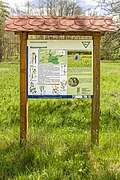 * Nomination Information board in "Nesselgrund" nature reserve near Bundorf --Plozessor 02:40, 2 April 2025 (UTC) * Promotion  Support Good quality. --Bgag 03:36, 2 April 2025 (UTC)