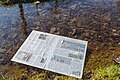 * Nomination: A newspaper floating on top of a puddle in Saarbrücken --FlocciNivis 13:08, 29 March 2025 (UTC) * * Review needed