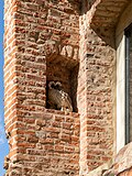 * Nomination Wall niche on the chapel building, Sythen Castle, Sythen, Haltern am See, North Rhine-Westphalia, Germany --XRay 08:35, 30 March 2025 (UTC) * Promotion  Support OK --St. Krug 19:54, 1 April 2025 (UTC)