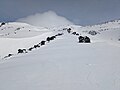 * Nomination: Rocky, snow covered ridge heading up towards the crater rim on Mount St Helens --Buidhe 04:03, 2 April 2025 (UTC) * * Review needed