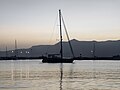 * Nomination Sailboat in the port of Sitia early in the morning. Sitia, Lasithi, Crete, Greece. --Petro Stelte 19:37, 31 March 2025 (UTC) * Promotion  Support Good quality. --Ermell 06:33, 1 April 2025 (UTC)