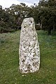 * Nomination Menhir at Necropolis of Pranu Muttedu, Sardinia --Mike Peel 06:33, 1 April 2025 (UTC) * Promotion  Support Good quality. --Ercé 07:35, 1 April 2025 (UTC)