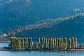 * Nomination Poplar trees on the Blumeninsel ("Flower Island"), part of the lido, Pörtschach, Carinthia, Austria -- Johann Jaritz 02:47, 1 April 2025 (UTC) * Promotion  Support Good quality. --Plozessor 03:50, 1 April 2025 (UTC)  Support Love this postcard image, great colors and a great photo. Could be cropped a bit from the bottom to remove the two little tree tops showing, which to me, draw a bit of attention. -- Sabalo22 18:28, 1 April 2025 (UTC)