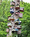 * Nomination Bird nest boxes in Napareuli, Georgia --Bgag 03:34, 2 April 2025 (UTC) * Promotion  Support Good quality.--Famberhorst 04:53, 2 April 2025 (UTC)