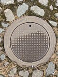 * Nomination: A manhole cover in the courtyard of the Hermitage. Repost (as unassessed). --Lvova 10:50, 3 April 2025 (UTC) * * Review needed