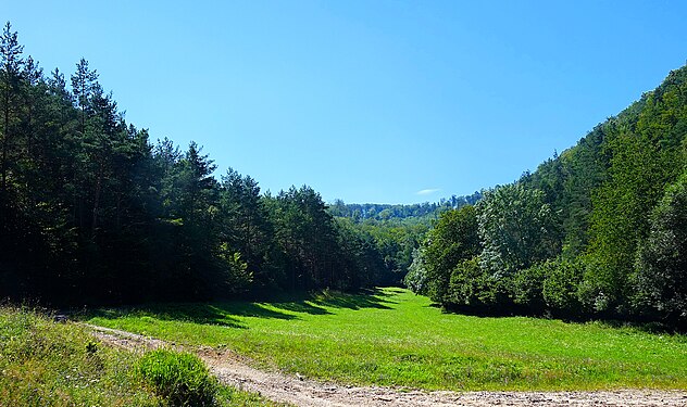 Mountain meadow, Montenegro mountain range, Slovakia