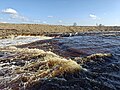 * Nomination Tosnenskiy waterfall --Lvova 07:39, 3 April 2025 (UTC) * Promotion  Support Good quality. --Olivier LPB 11:04, 3 April 2025 (UTC)