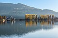 * Nomination Poplar trees on the Blumeninsel ("Flower Island"), part of the lido, Pörtschach, Carinthia, Austria -- Johann Jaritz 02:38, 2 April 2025 (UTC) * Promotion  Support Good quality. --Plozessor 02:41, 2 April 2025 (UTC)