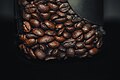 * Nomination This is the photo of roasted coffee beans. These coffee beans are roasted by one of my uncles factory.I, the copyright holder of this work, hereby publish it under the following license: --A S M Jobaer 05:54, 27 March 2025 (UTC) * Decline  Oppose Nominated two times and already declined --Екатерина Борисова 06:16, 2 April 2025 (UTC)