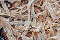 * Nomination: A close-up photography of wood shavings with frost on them in the Köllertaler Wald --FlocciNivis 16:35, 1 April 2025 (UTC) * * Review needed