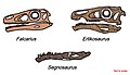 Thumbnail for version as of 15:33, 3 February 2010