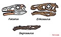 Thumbnail for version as of 07:35, 16 February 2010
