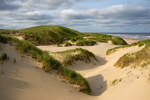 Beach crossing De Kerf in the Schoorl dunes