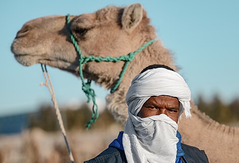Camel driver from Algeria