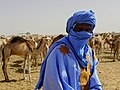* Nomination: A camel seller wearing his blue derraa in Mauritania --IssamBarhoumi 09:40, 1 April 2025 (UTC) * * Review needed