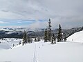* Nomination: A stand of trees near the treeline on Mount St Helens --Buidhe 04:03, 2 April 2025 (UTC) * * Review needed