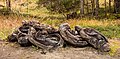 * Nomination Sur En/Sent, municipality of Scuol, kanton Graubünden. Sculpture 2 Tage südlicher - 2013. Artwork by Guido Weggenmann. --Agnes Monkelbaan 04:21, 3 April 2025 (UTC) * Promotion  Support Good quality. --Plozessor 04:29, 3 April 2025 (UTC)