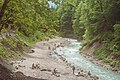 * Nomination: The Partnach in Garmisch-Partenkirchen --FlocciNivis 19:18, 31 March 2025 (UTC) * * Review needed
