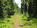 de:Schmalspurbahn Naissaar