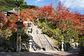 * Nomination: Mimuroto-ji in Uji, Kyoto prefecture, Japan (by User:663highland) --D-Kuru 15:34, 27 March 2025 (UTC) * * Review needed