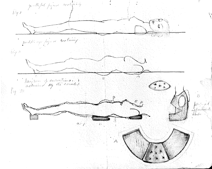 Loy's drawings of corselet