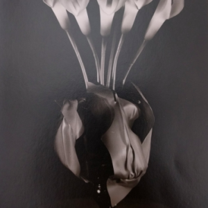 Calla Lilly Lamp