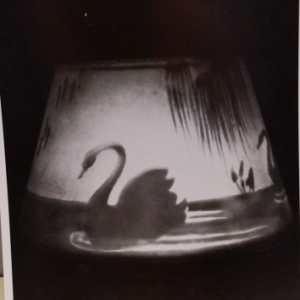 Swan Lampshade