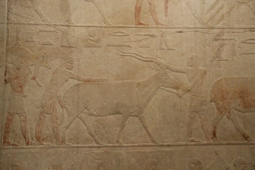 Todd, Gary. "Ancient Egypt Limestone Bas-relief from Saqqara Tomb, 5th Dynasty, c. 2400 BC." Wikimedia Commons, 15 July 2016