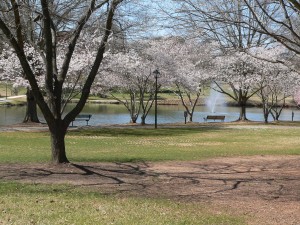 Contemporary picture of Roosevelt Wilson Park Courtesy of Davidson town website